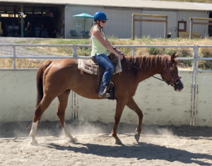 Caedyn working Rosie, the horse, in the round pen