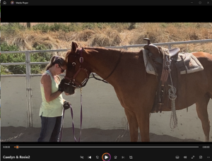 Link to short video showing Caedyn leaning on Rosie's nose