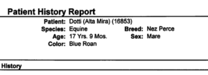 Screenshot snippet of Dottie's medical history.