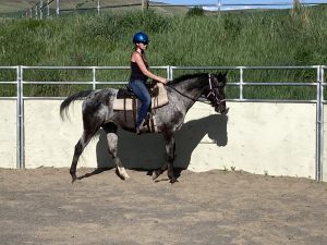 Dottie with rider at GSF