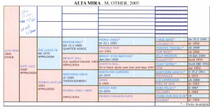 .PNG view of the pedigree entry online for Dottie