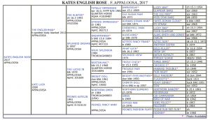 .PNG view of the pedigree entry online for Rosie (Kate's English Rose)