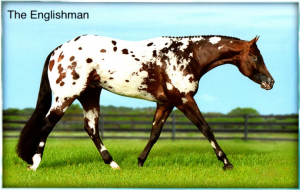 Image (from the side) of the horse, Englishman