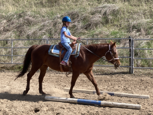 Image of a young student (female) riding in a lesson at Garden Springs Farm