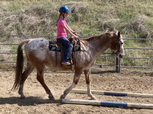 Image of a young student (female) riding in a lesson at Garden Springs Farm