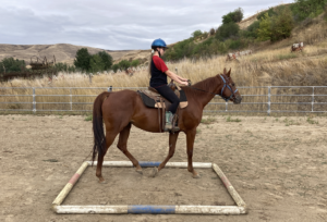 Image of Cazzie being ridden during training session in GSF arena.