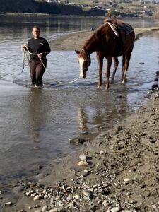 Rosie with Valdasue, wading in the river