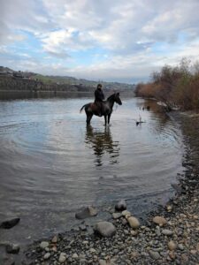 Dottie in the river